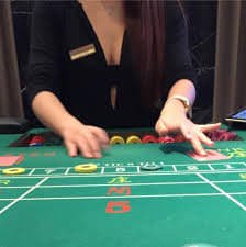 rr333